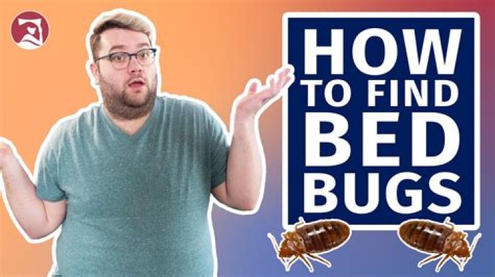 5 Things You're Buying That Bring Bed Bugs Into Your House, Experts Say