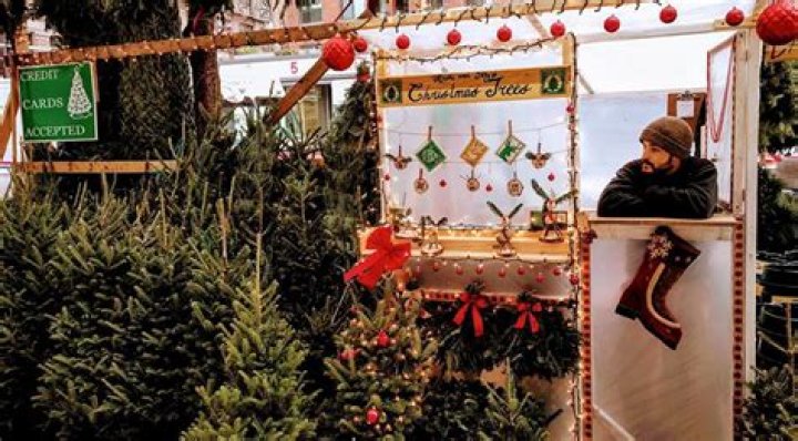 7 Secrets Christmas Tree Vendors Don't Want You to Know