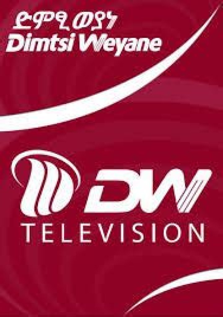 Dimtsi Weyane Television Youtuber overview