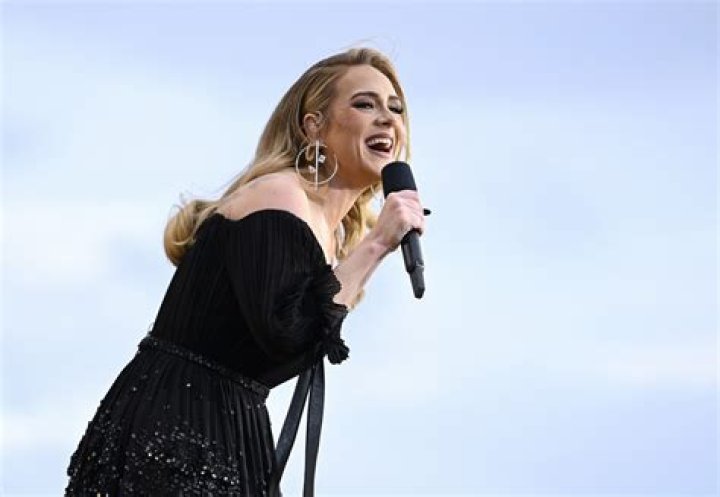 Does Adele Sing 'You Say'?