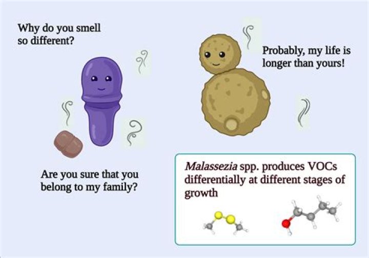 If You Smell Like This, Men Won't Forget You, According to Cher