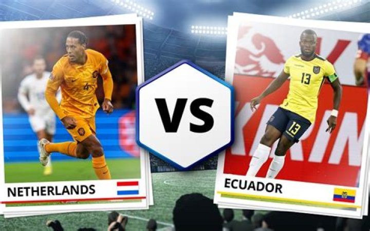 
Netherlands vs Ecuador: Prediction, Head to Head, Time, Possible Line up, Players to Watch, Team History, and Betting Odds