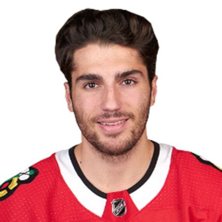 Nick Schmaltz Biography-salary, net worth, contract, stats, married, relationship, children, age, family, height, girlfriend