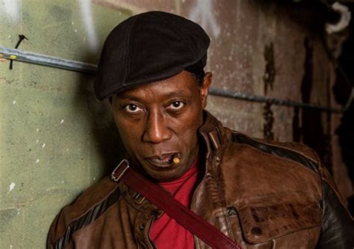 Wesley Snipes Net Worth | Celebrity Net Worth